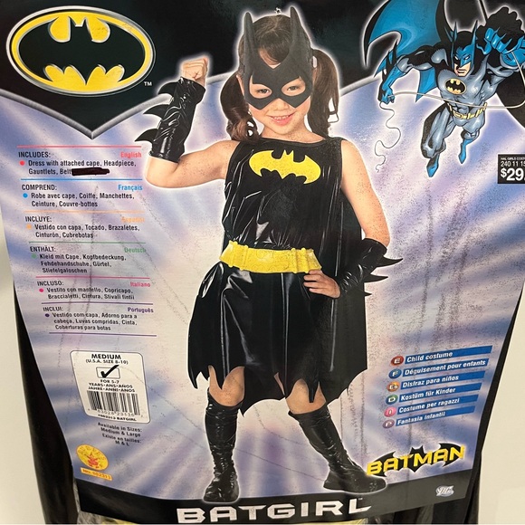 Batgirl Halloween Costume - Picture 1 of 10